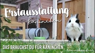 Kaninchen ERSTAUSSTATTUNG  Das brauchst du für deine 1. Kaninchen  | Kaninchenstar