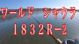 ［インプレ］2020 ワールドシャウラ　１８３２Ｒ−2 コルクストレートが最高にカッコいい！