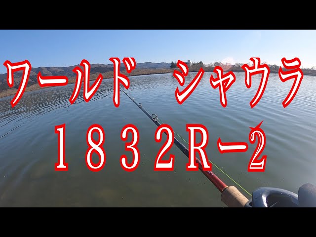 Impressions] 2020 World Shaula 1832R-2 The cork straight is super