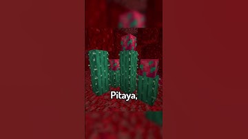 Mini Mod Reviews - Nether