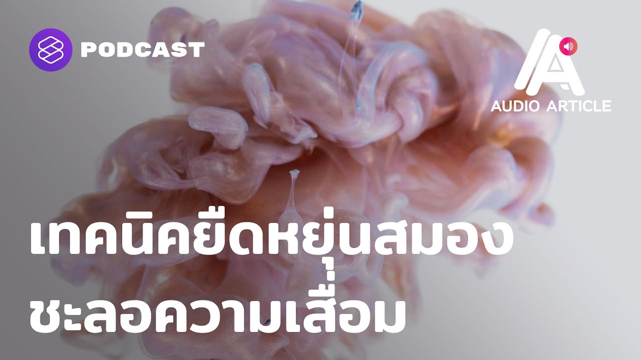 สมอง ของ คอมพิวเตอร์  Update New  เทคนิค ‘ยืดหยุ่น’ สมอง ชะลอความเสื่อม | Audio Article EP.26