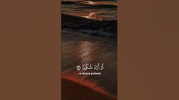 ماهر المعيقلي🍀 سورة الفرقان
