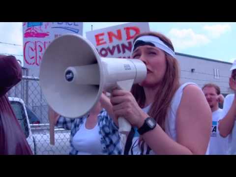 PETA protest at Red Ribbon Dairy - 1996 - YouTube