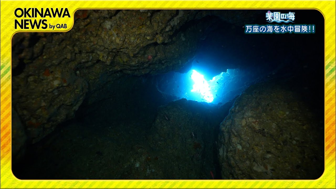 楽園の海 水中地形ポイントを冒険！万座の海 Part1 - YouTube