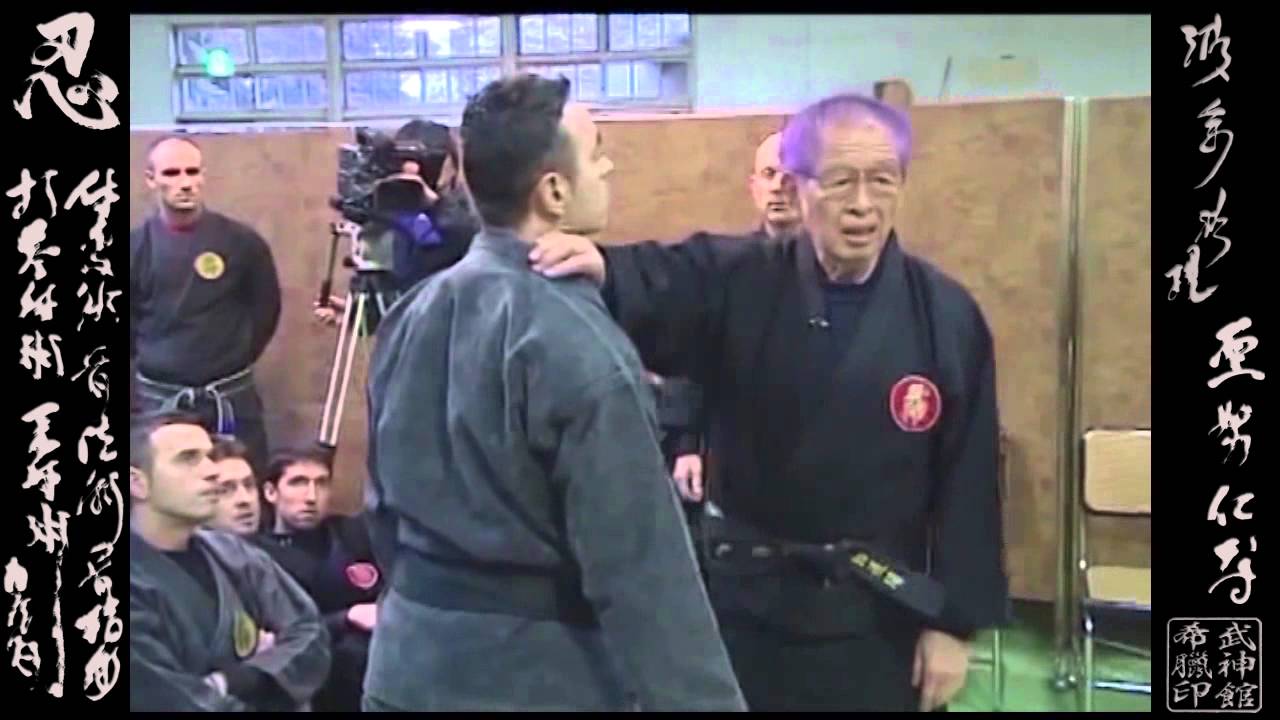 Taiden Shinden Okuden  体伝 心伝 奥 伝 Ninpo Taijutsu