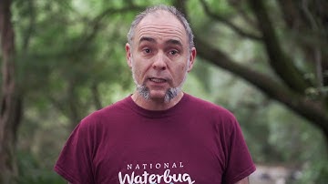 1. National Waterbug Blitz - Site Selection, Safety & Set Up