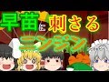 【ゆっくり茶番】刺さる人参