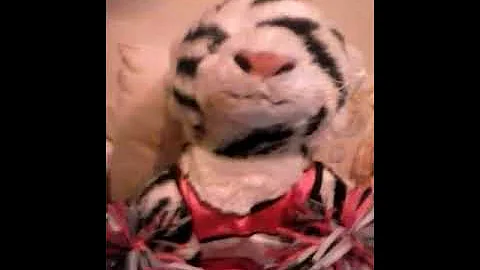 White tigers