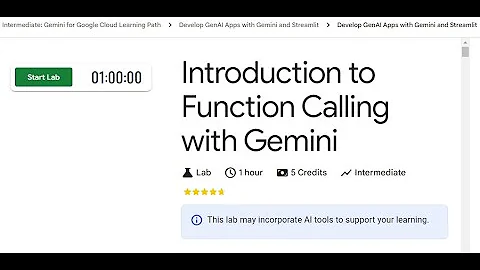Introduction to Function Calling with Gemini