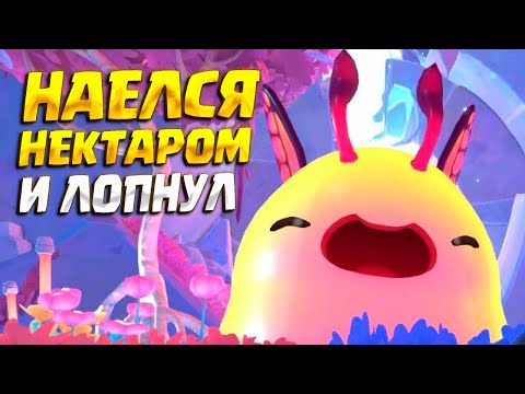 Видео: НАКОРМИЛ КАПЛЯМИ ТОЛСТОГО ( Slime Rancher 2 ) #24 / ПРОХОЖДЕНИЕ НА РУССКОМ