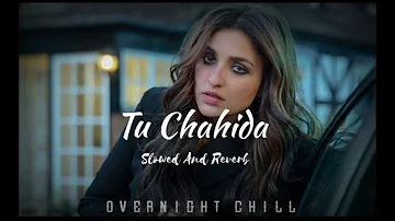 Tu Chahida - Sara Gurpal | Slowed And Reverb | Overnight Chill