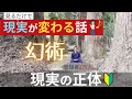 簡単に♪【現実とは?】現実が変わる話(脳科学&心理学&量子力学)