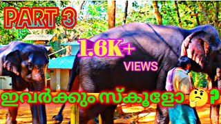 Elephant training centre Part 3 Kodanad 4K / കോടനാട് ആനക്കളരി   in Malayalam @desivotrends2025
