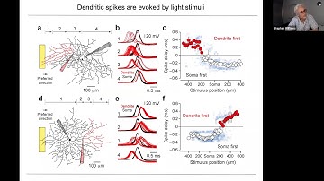 Keynote: Engagement of active dendritic integration in neuronal circuit computations