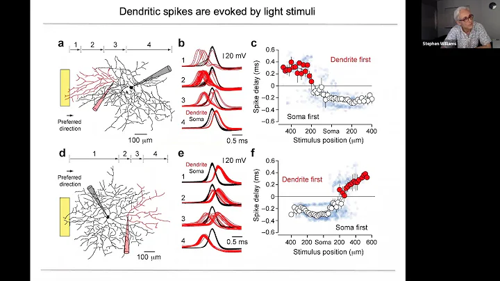 Keynote: Engagement of active dendritic integration in neuronal circuit computations