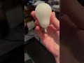 Ceiling Fan Light Bulbs