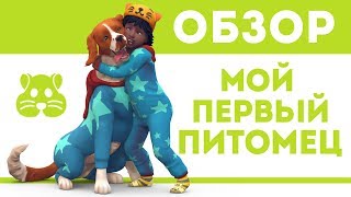ГРЫЗУНЫ В СИМС 4 | Обзор КАТАЛОГА | Мой Первый Питомец | TS4 ГРЫЗУНЫ В СИМС 4 | Обзор КАТАЛОГА | Мой Первый Питомец | TS4