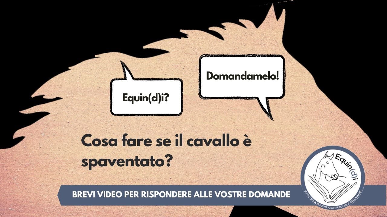 Cosa fare con un cavallo spaventato - Equin(d)i? Domandamelo!