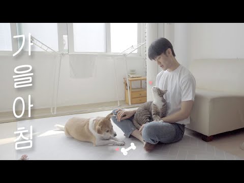 양희은 가을 아침 아이유