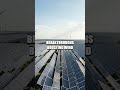 City Sparks A Fresh Take on Solar Wind AI and Green Fuels