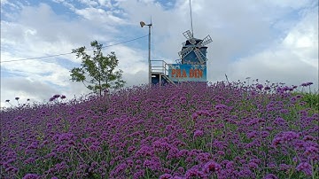 DU LỊCH "PHA ĐIN LỘNG GIÓ" (PHA ĐIN PASS)