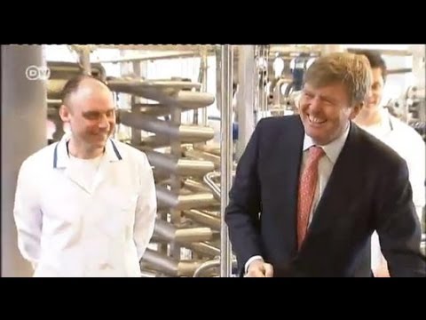 Виллем-Александр и экономика Нидерландов