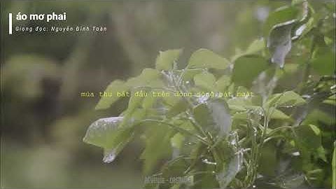 "tình chúng ta bắt đầu khi mùa thu trở lại.." - Nhạc tình hoa niên số 2 - Nguyễn Đình Toàn // lyrics