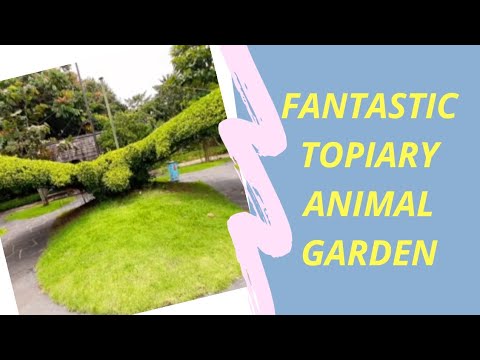 Video: Topiary, Apgrieztu Dekoratīvo Augu Izmantošana Mājas Un Dārza Dekorēšanai