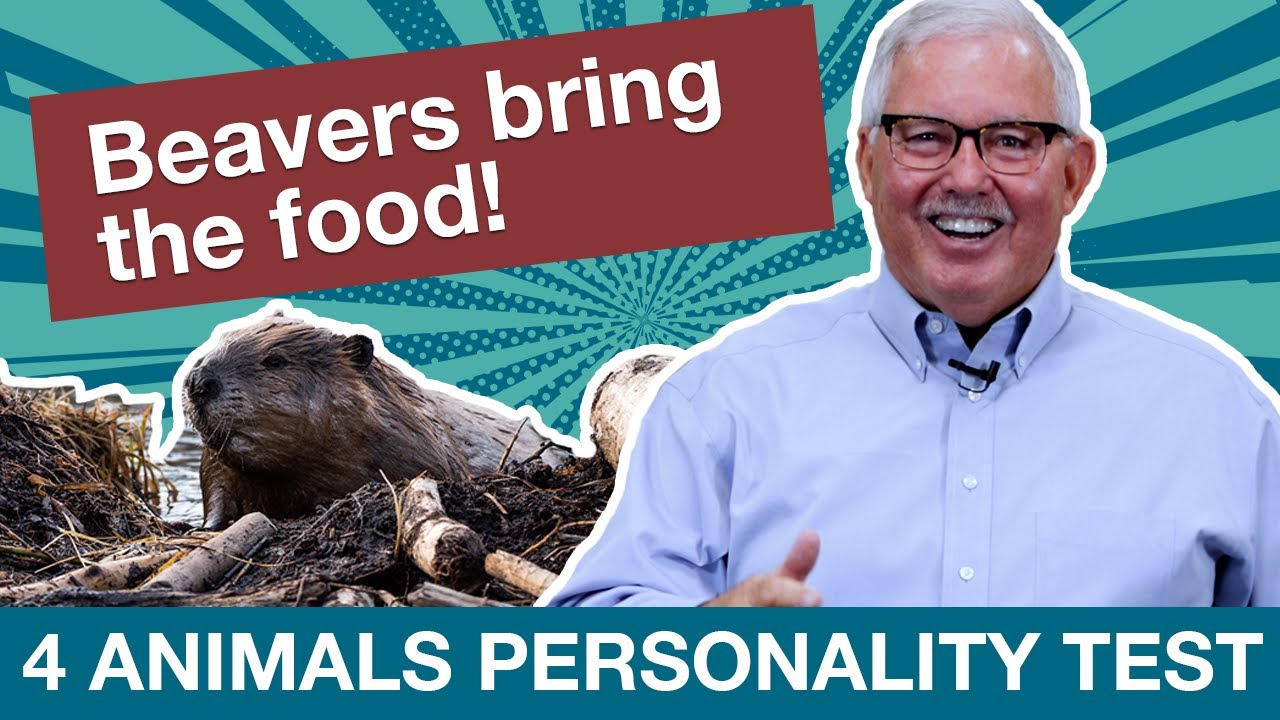 4 Animals Personality Test - Focus on the Family