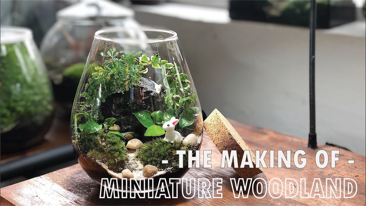 How to create a terrarium: Miniature Woodland - YouTube