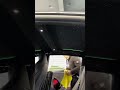 Best Tesla Mod for Luxury Feel – Rolls-Royce Starry Sky Effect