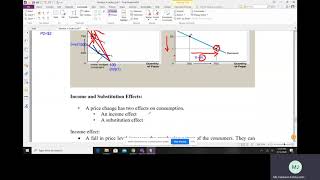 Chapter 21 Consumer Theory Part 3