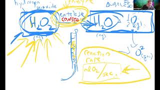 Human Physiology Lab - 17 Sept 2020: Introduction to the Enzyme Lab