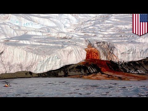 Video: Scientists Have Uncovered The Mystery Of The Blood Falls In Antarctica - Alternative View