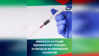 Химическую кастрацию педофилов будут проводить за шесть месяцев до освобождения в Казахстане