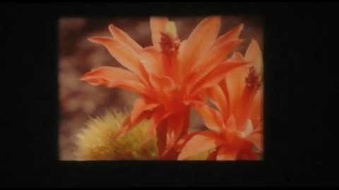 Liam Finn - Better To Be