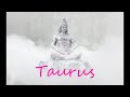 TAURUS - SPIRIT wants you to know why you're on this path and where it leads