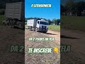 #roça #pecuarista #colono #agricultura