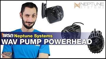 The best reef tank powerhead you can get for your Neptune Apex Controller! Neptune WAV Pumps.