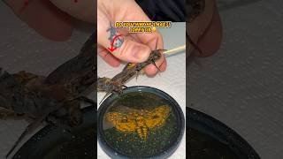 Oops! I didn’t mean for that to happen 🤣 #moths Wealth