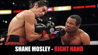 Shane Mosley's Sneaky Right Hand Wealth