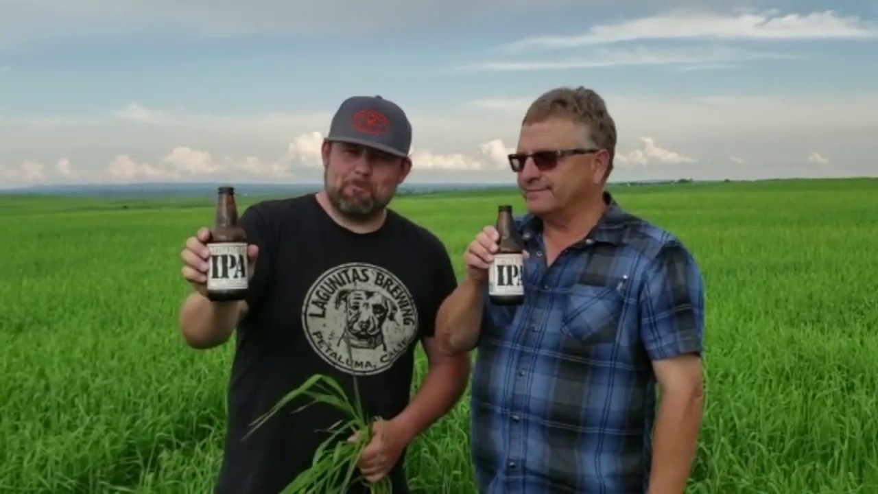 Two Row Barley and Spot Blotch. E1