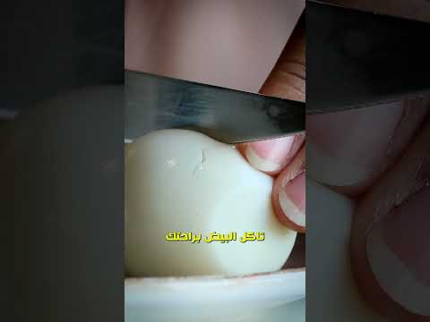 هل البيض يرفع الكوليسترول ويسبب الوفاة دكريم على فكر تانى اكسبلور