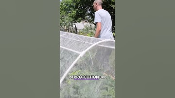 Organic gardening: Harnessing the Power of Insect Netting to Protect Your Plants 🌿🦋