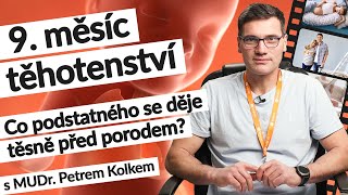 9. měsíc těhotenství (36.-40. tt) | Těhotenství týden po týdnu| #tehotenstvi