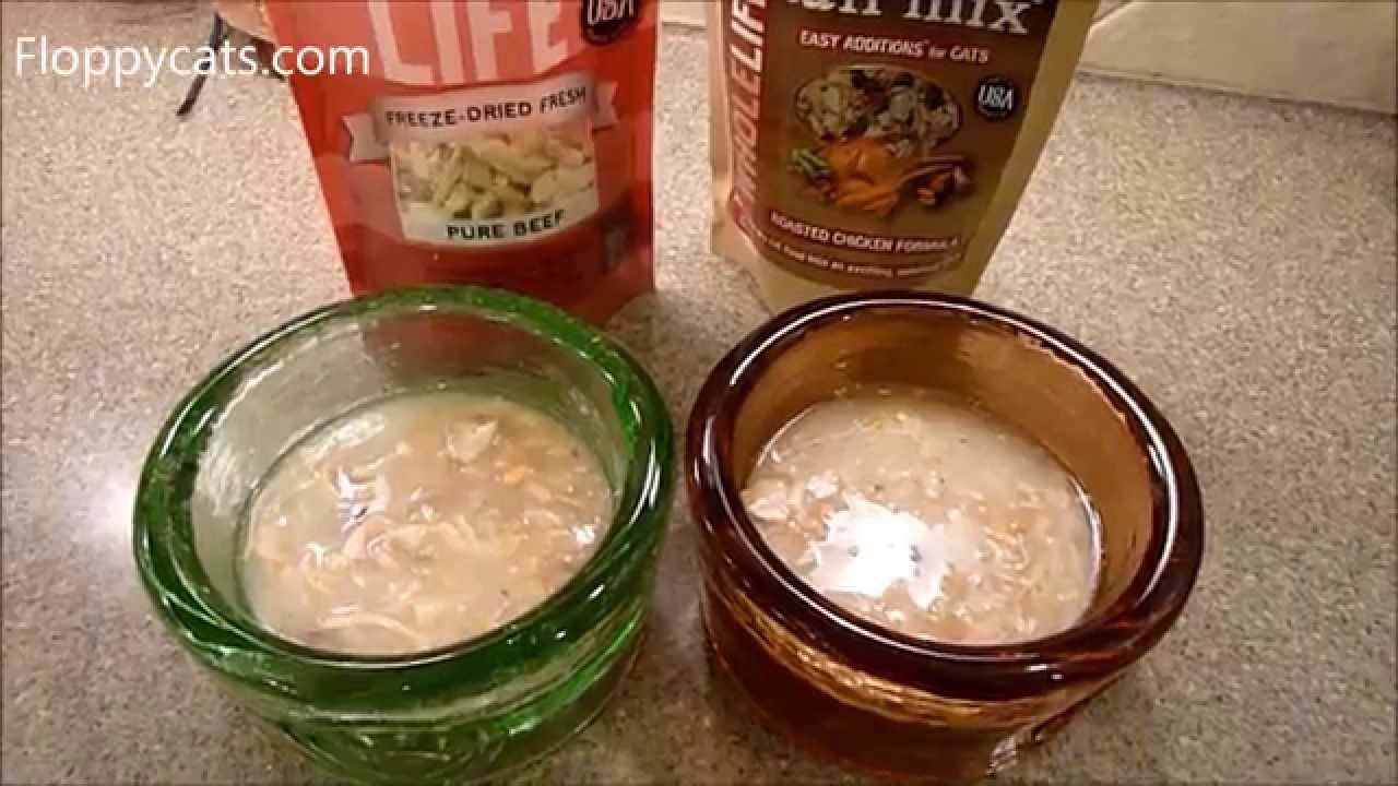 What to Do With Powder at Bottom of Whole Life Pet Treat Bag - ねこ - ラグドール - Floppycats