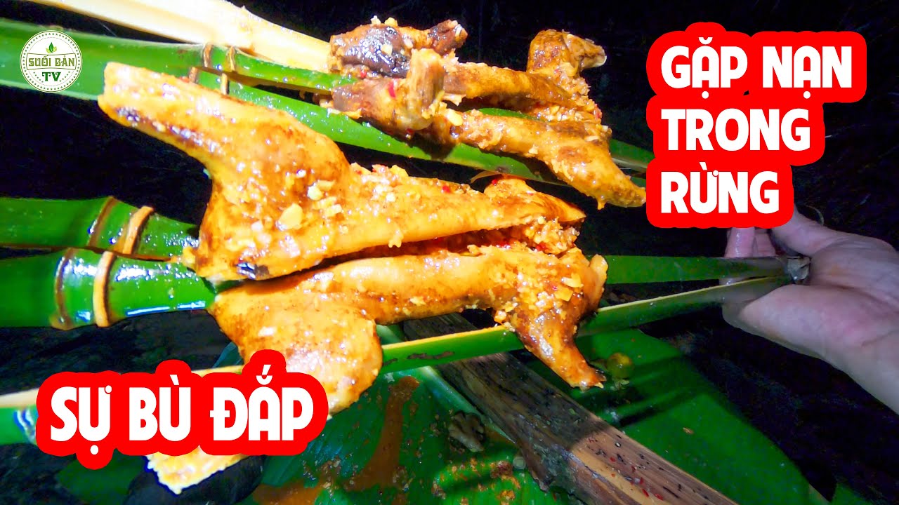 Suýt Mất M*ạng Trong Rừng Sau 3 Ngày Rừng Trả Lại Toàn Thịt Ngon  ✧ Suối Bản Tv