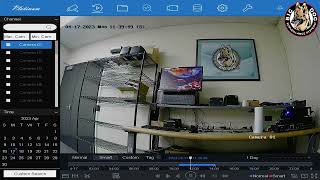 How To: Playback Footage Captured on Your Big Dog HD Surveillance System's DVR