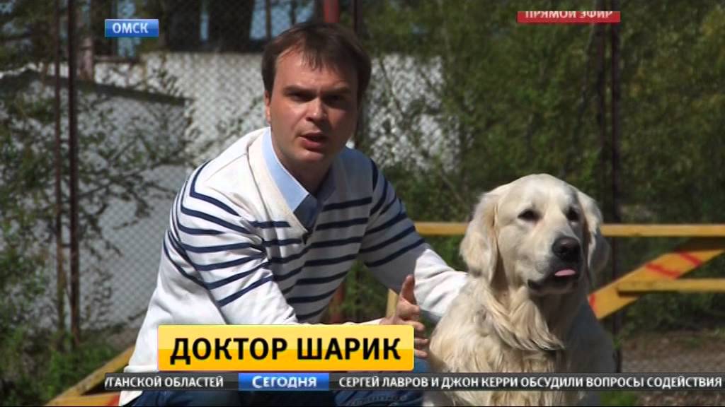 Канистерапия в Омске Сюжет на НТВ - YouTube