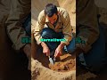 Archaeological Discoveries: Can They Verify Biblical Events?